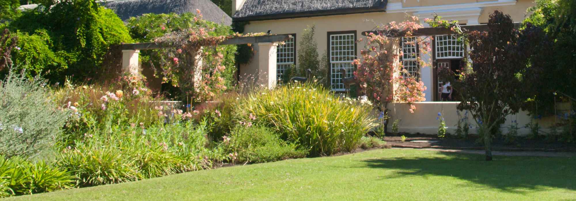 Cor suave e na moda: como criar um jardim «nude»?