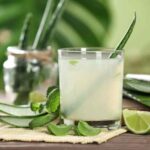 Beleza e culinária: como colher e utilizar o aloé-vera?