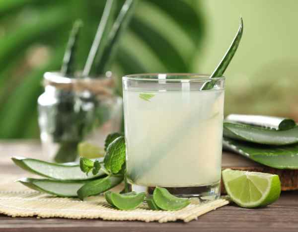 Beleza e culinária: como colher e utilizar o aloé-vera?