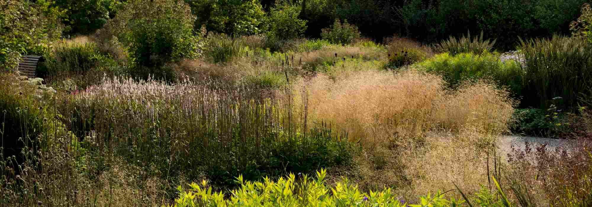 Como criar um jardim naturalista?