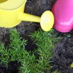Inicie as crianças na jardinagem com ferramentas adequadas e divertidas!
