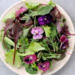 Flores comestíveis: os amores-perfeitos chegam à cozinha!