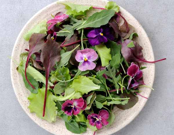 Flores comestíveis: os amores-perfeitos chegam à cozinha!