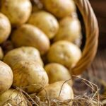 Batatas-inglesas precoces: o nosso guia completo para as escolher e cultivar