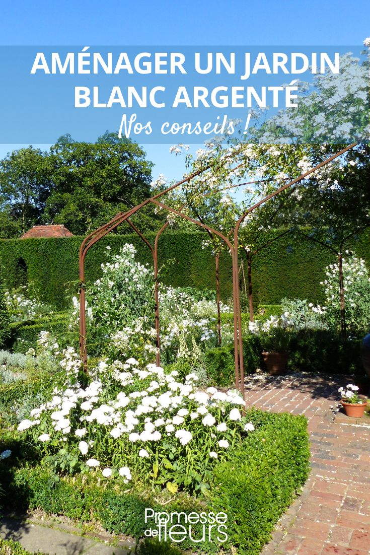 Plantar um jardim de flores brancas