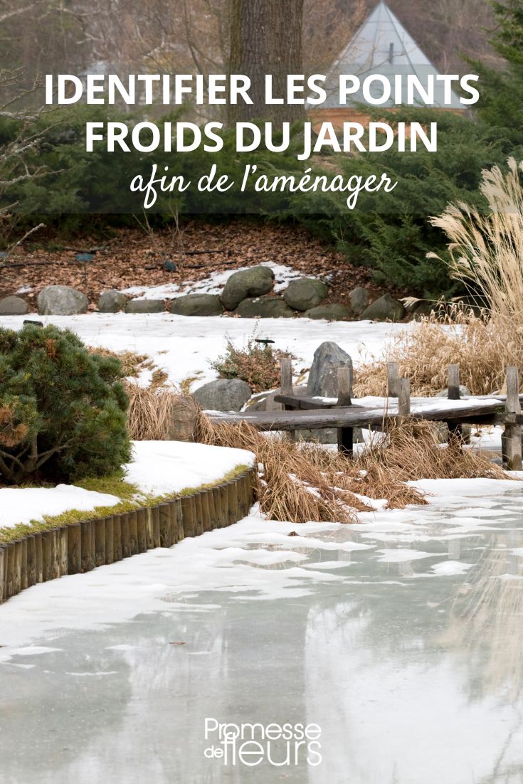 Humidade do ar, temperaturas, correntes de ar... fatores a ter em conta num jardim