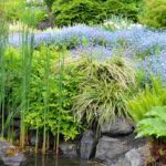 Como escolher plantas adequadas para o seu jardim?