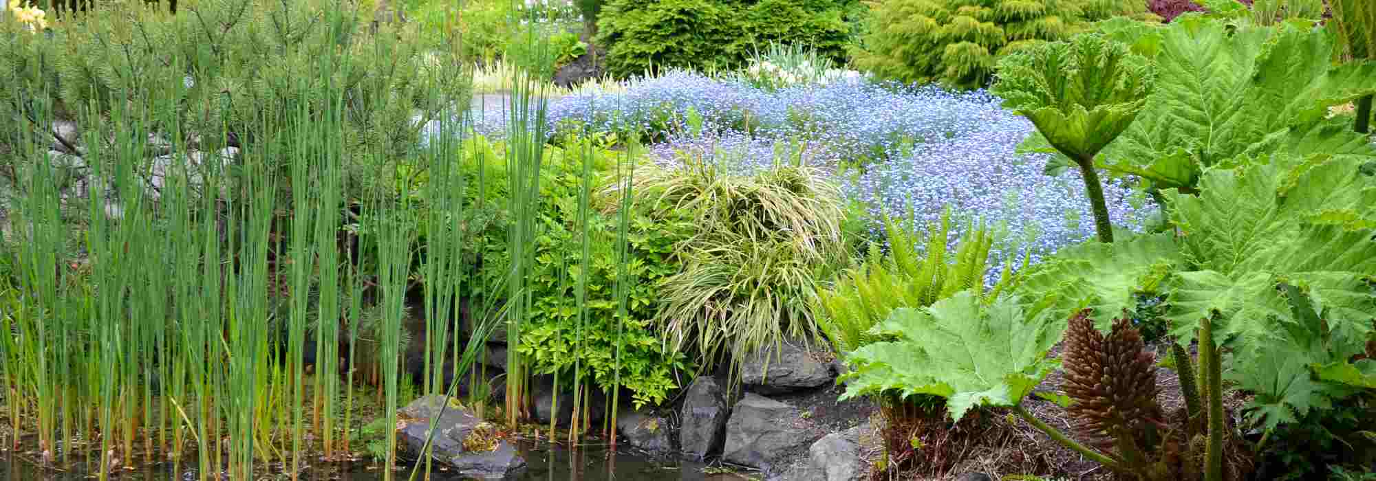 Como escolher plantas adequadas para o seu jardim?