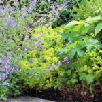 7 belas ideias para combinar as perenes de flores verdes