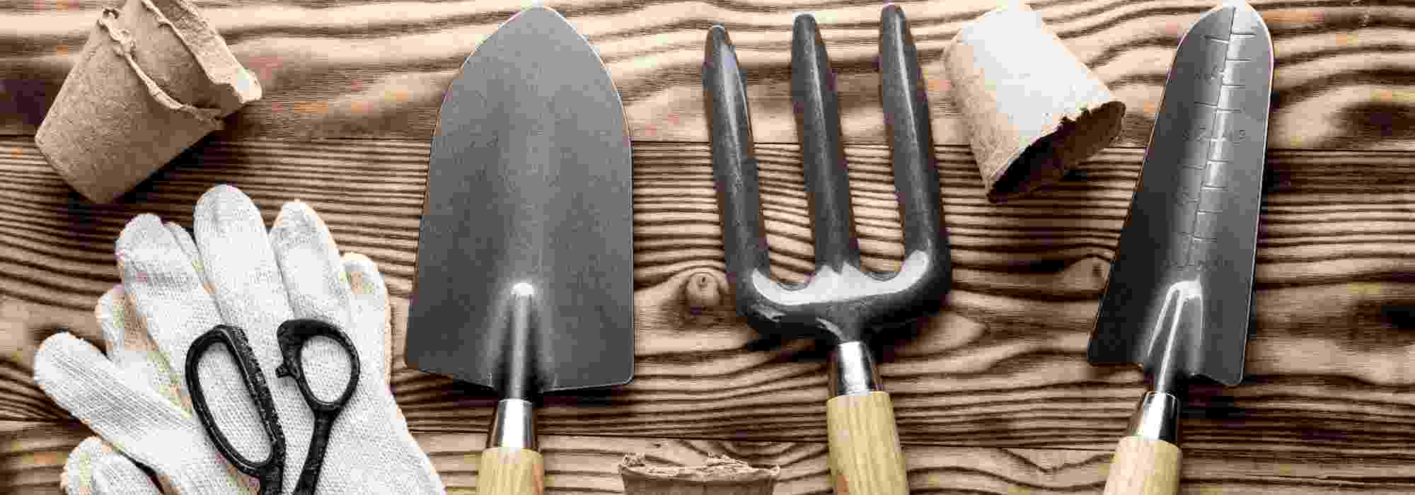 Jardinagem para principiantes: como escolher bem as ferramentas?
