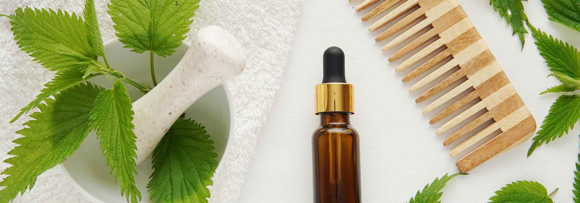 Cabelos saudáveis e cheios de vitalidade graças às plantas do seu jardim