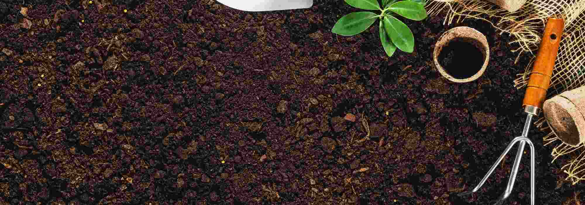 A preparação do solo na primavera: os gestos essenciais no jardim