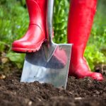 Jardinagem para principiantes: em que consiste a cava? Como fazê-la?