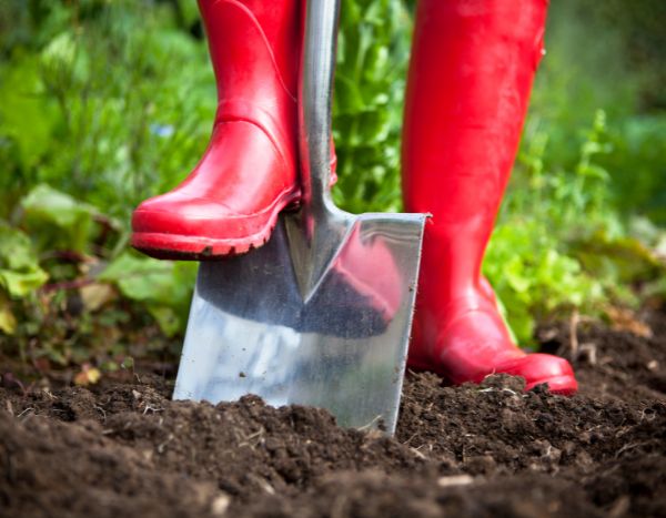 Jardinagem para principiantes: em que consiste a cava? Como fazê-la?