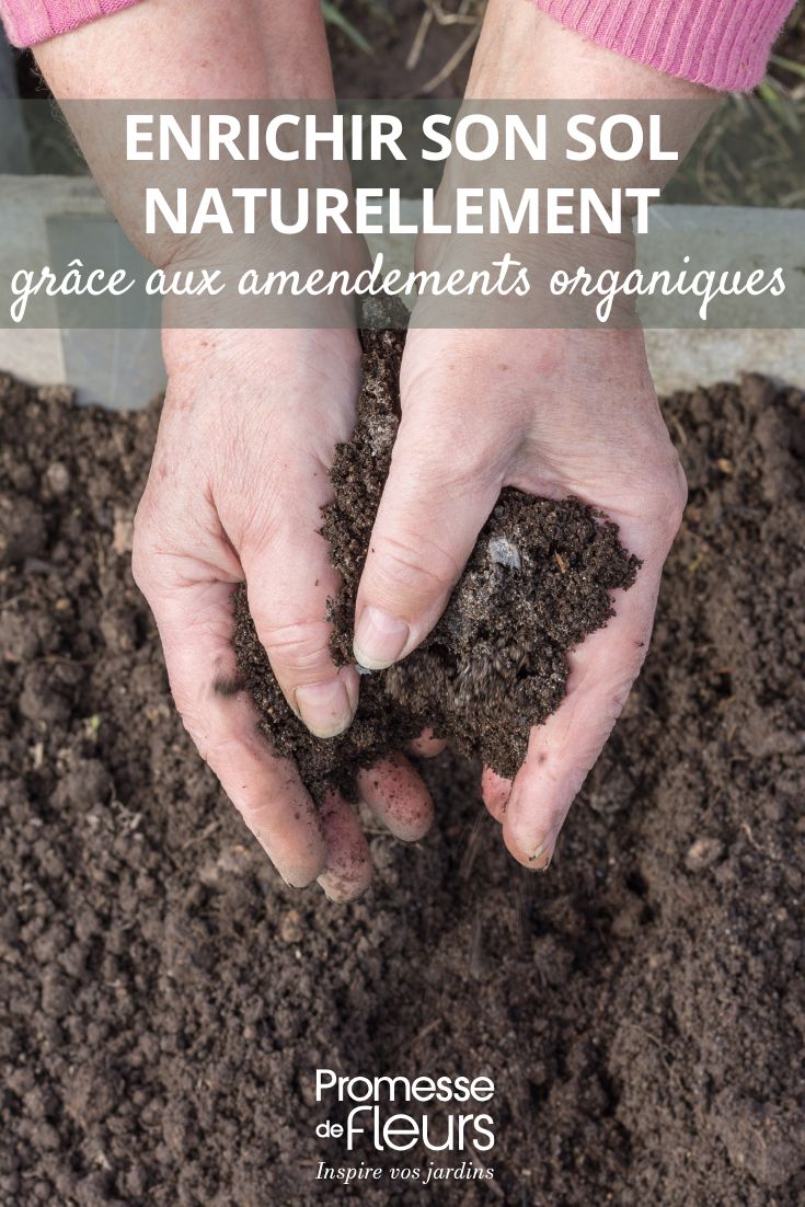 estrume, terra de folhas, composto, tudo para enriquecer o solo