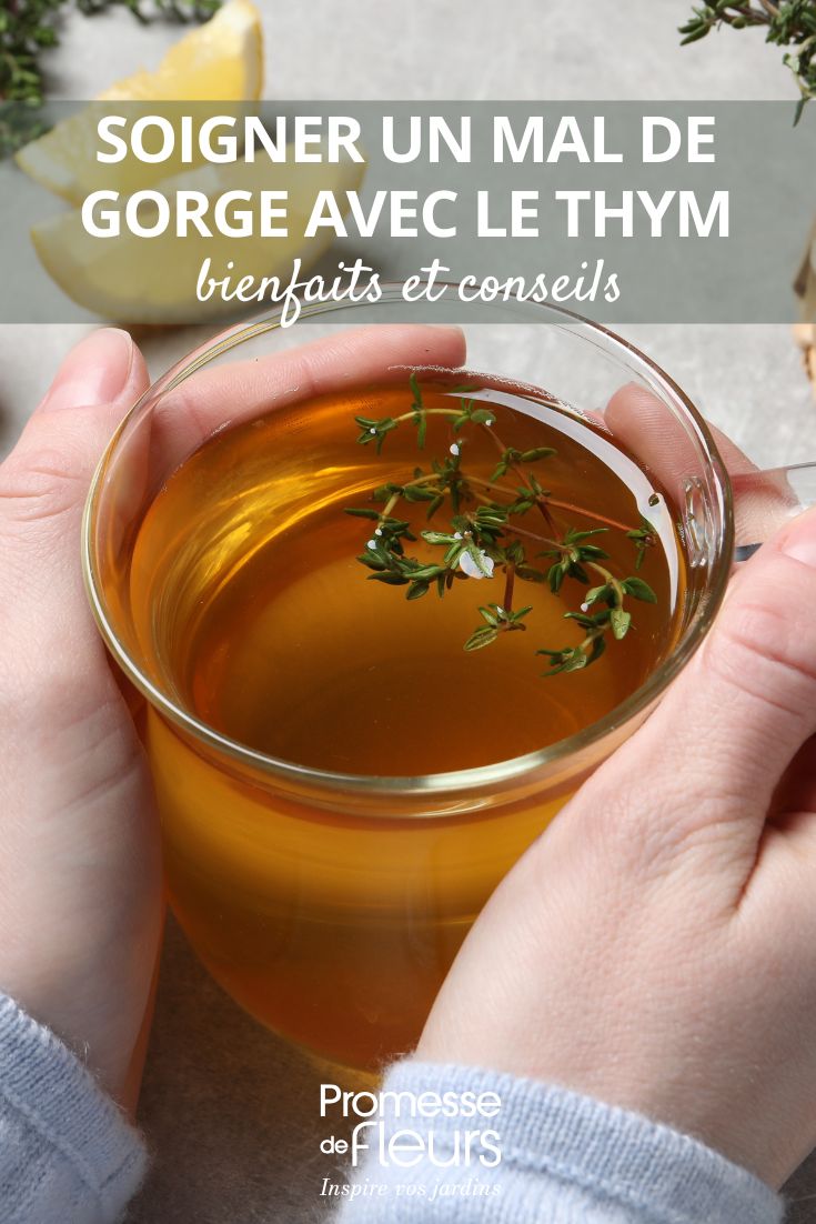 A infusão de tomilho ajuda a acalmar as dores de garganta.