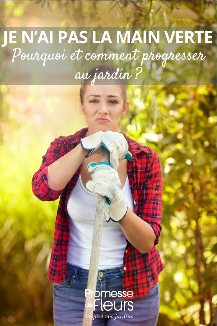 ter jeito para as plantas e como melhorar
