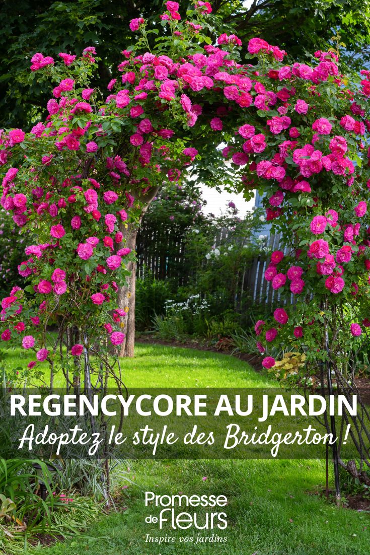 um arco de roseiras num jardim romântico
