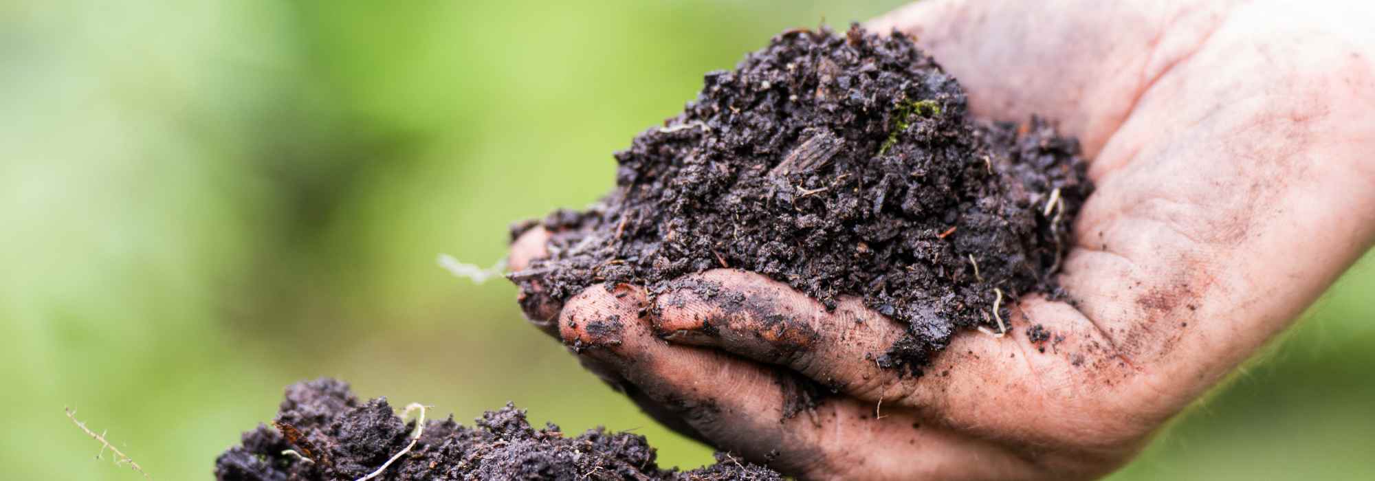 Como enriquecer o solo naturalmente através de corretivos orgânicos?
