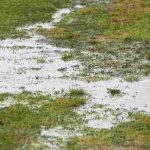 Tudo sobre a drenagem do solo no jardim