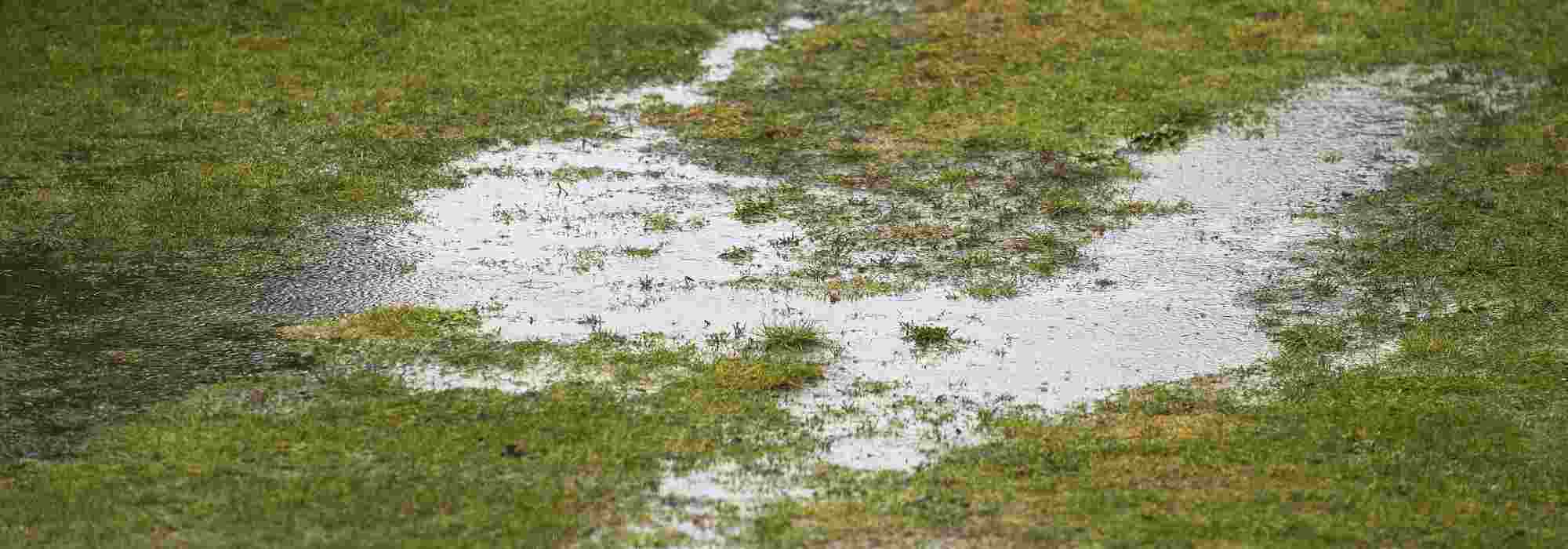 Tudo sobre a drenagem do solo no jardim