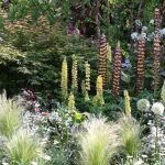 Éden imaginado: a tendência de jardim mais imersiva de 2025
