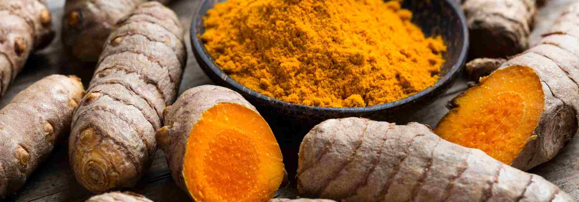 Cultivar o açafrão-da-índia pelos seus benefícios para a saúde