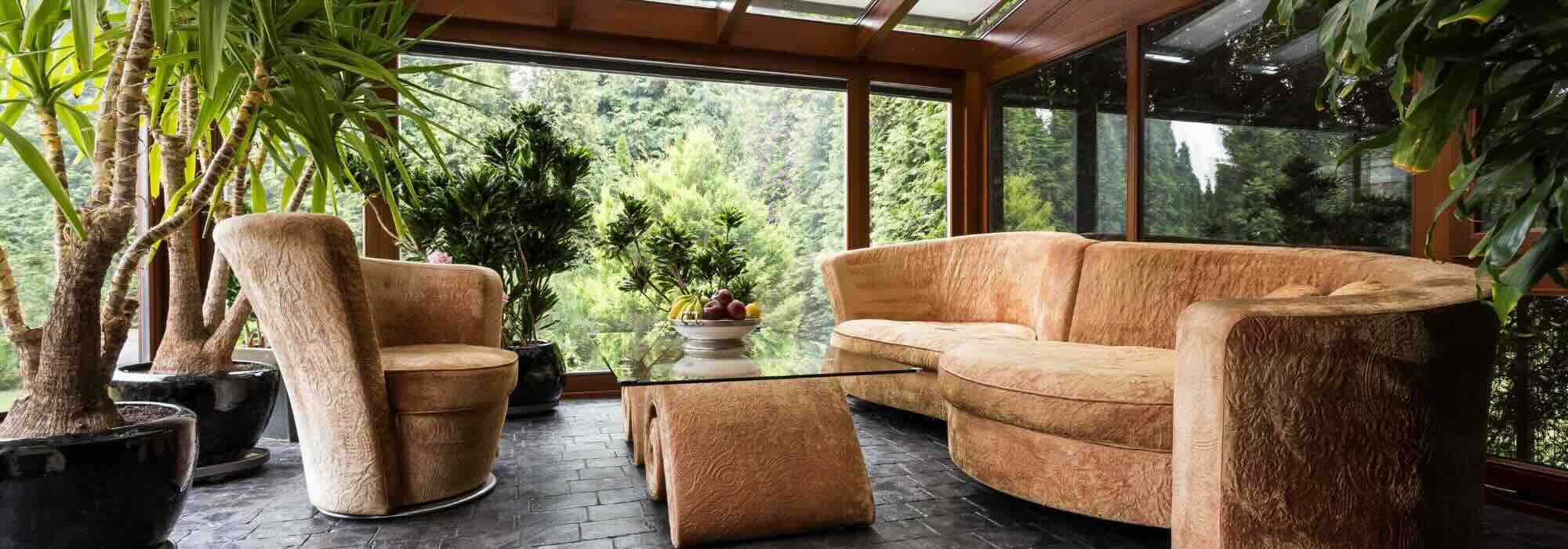 As plantas de interior ideais para um alpendre