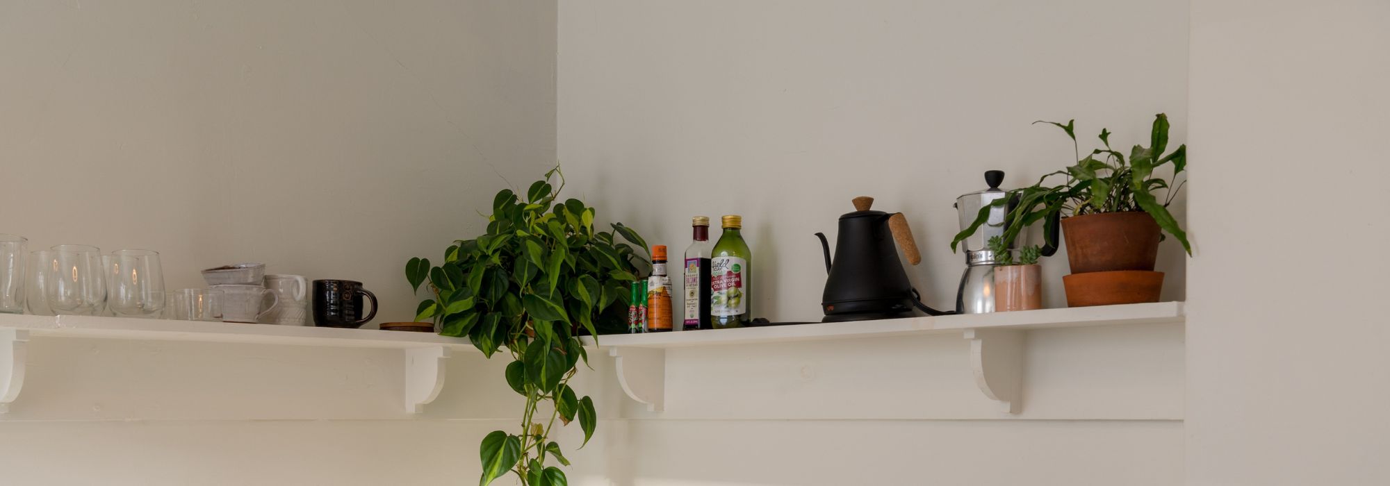 Plantas de interior para a cozinha: as variedades ideais!
