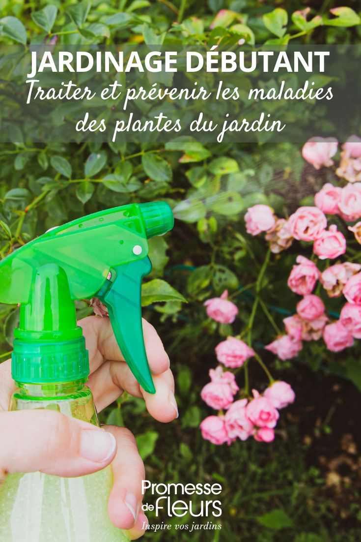 cuidar do jardim