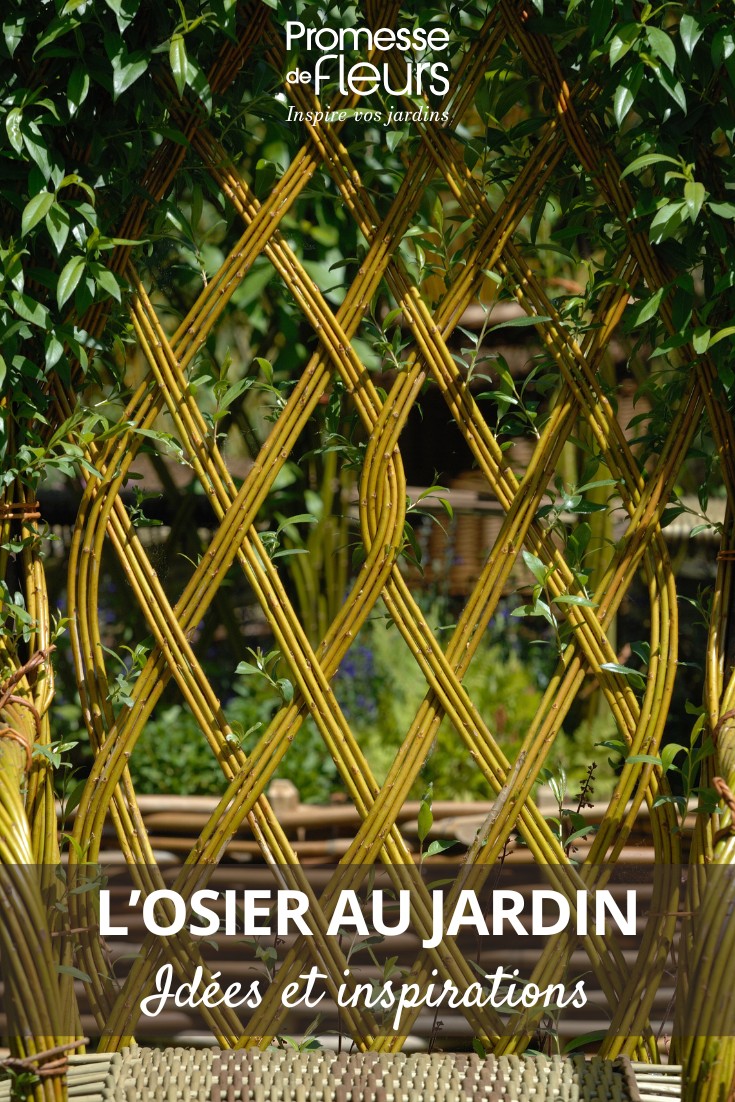 As utilizações do salgueiro no jardim