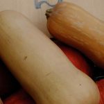 Abóbora butternut vs. abóbora potimarron: quais as diferenças na horta e na cozinha?