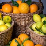 Como colher e conservar citrinos?