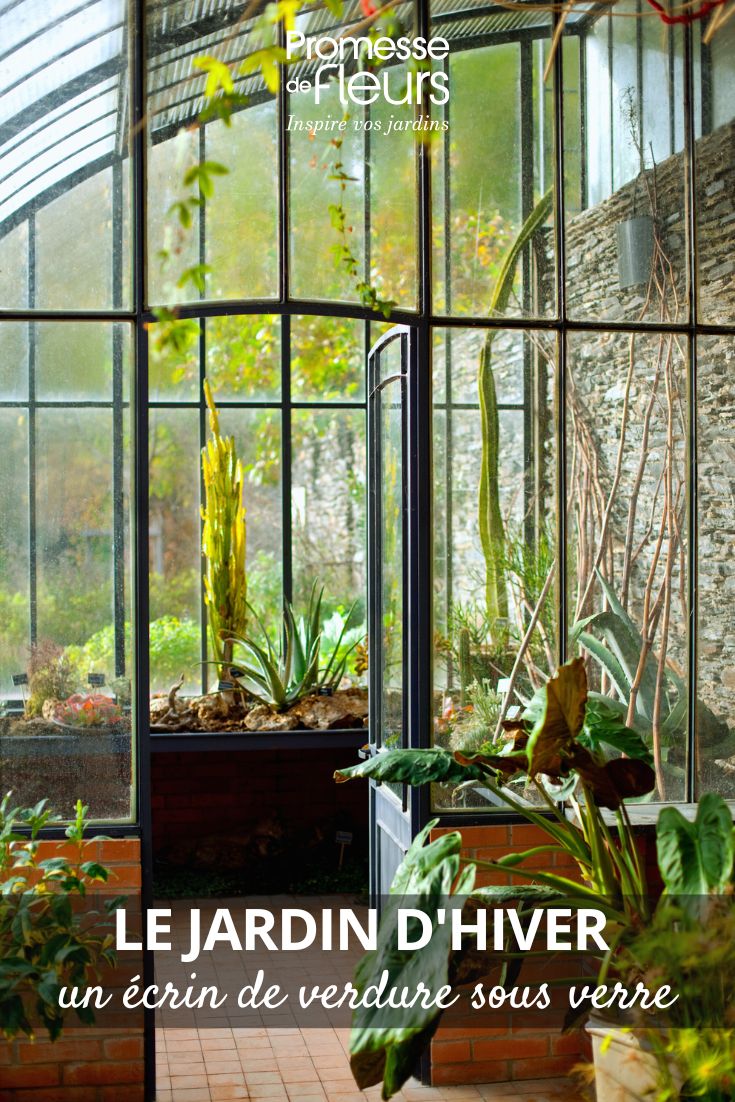 Jardinagem em estufa e marquise