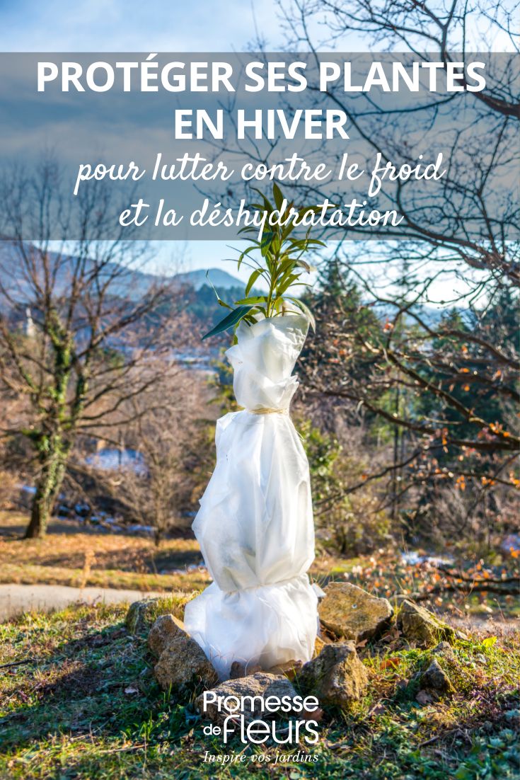 manta de inverno na planta