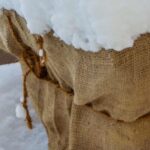 Proteger as suas plantas no inverno: combater o frio e a desidratação