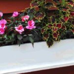 Plantas ideais para uma floreira estreita: as nossas melhores opções