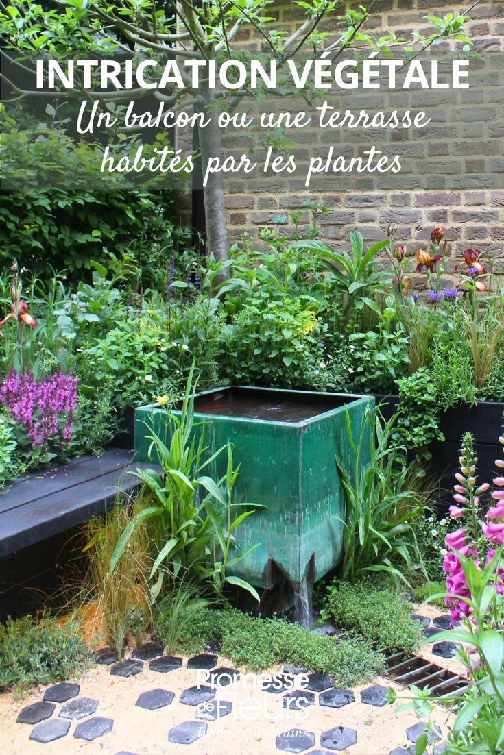 TERRAÇO E PLANTAS