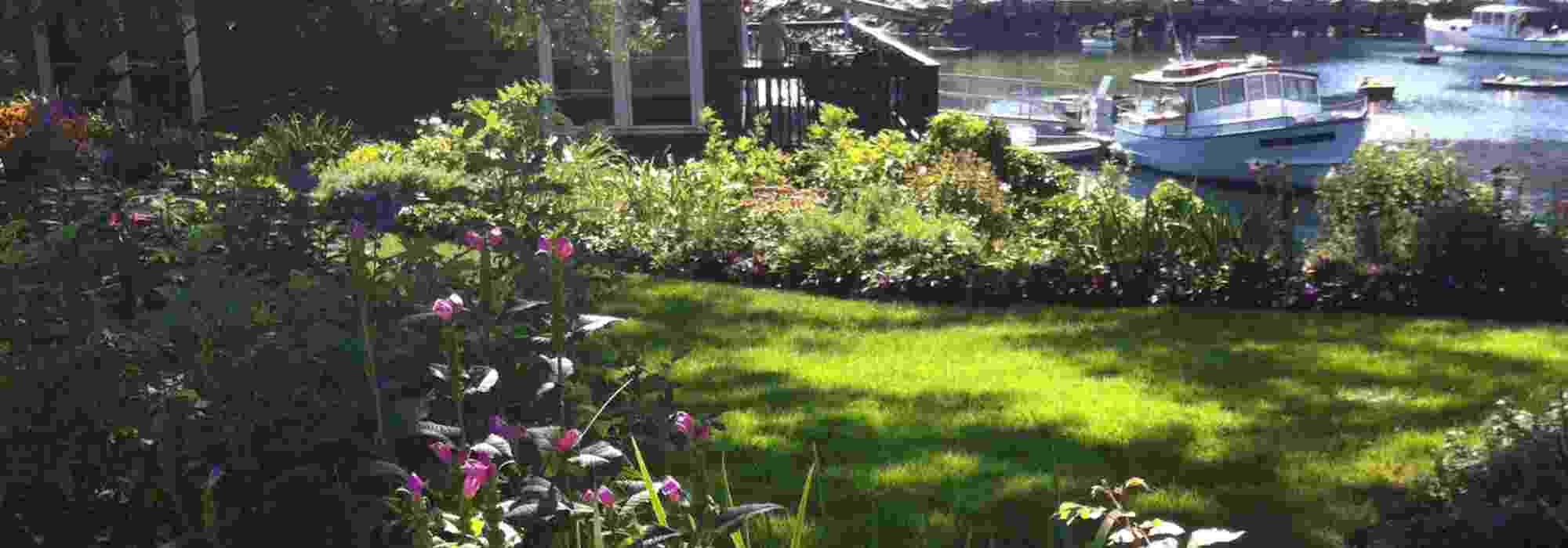 Criar um canteiro num jardim exposto ao vento