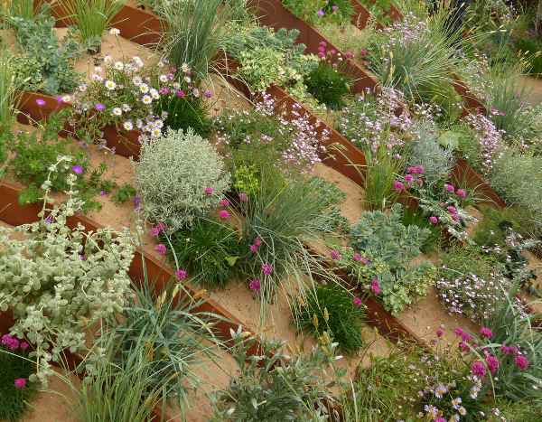 Jardim de areia: uma inspiração paisagística arrojada e atual