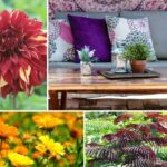 Tendência «Boho Patio»: como criar um terraço com um encanto boémio!