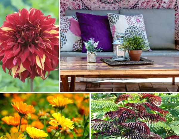 Tendência «Boho Patio»: como criar um terraço com um encanto boémio!