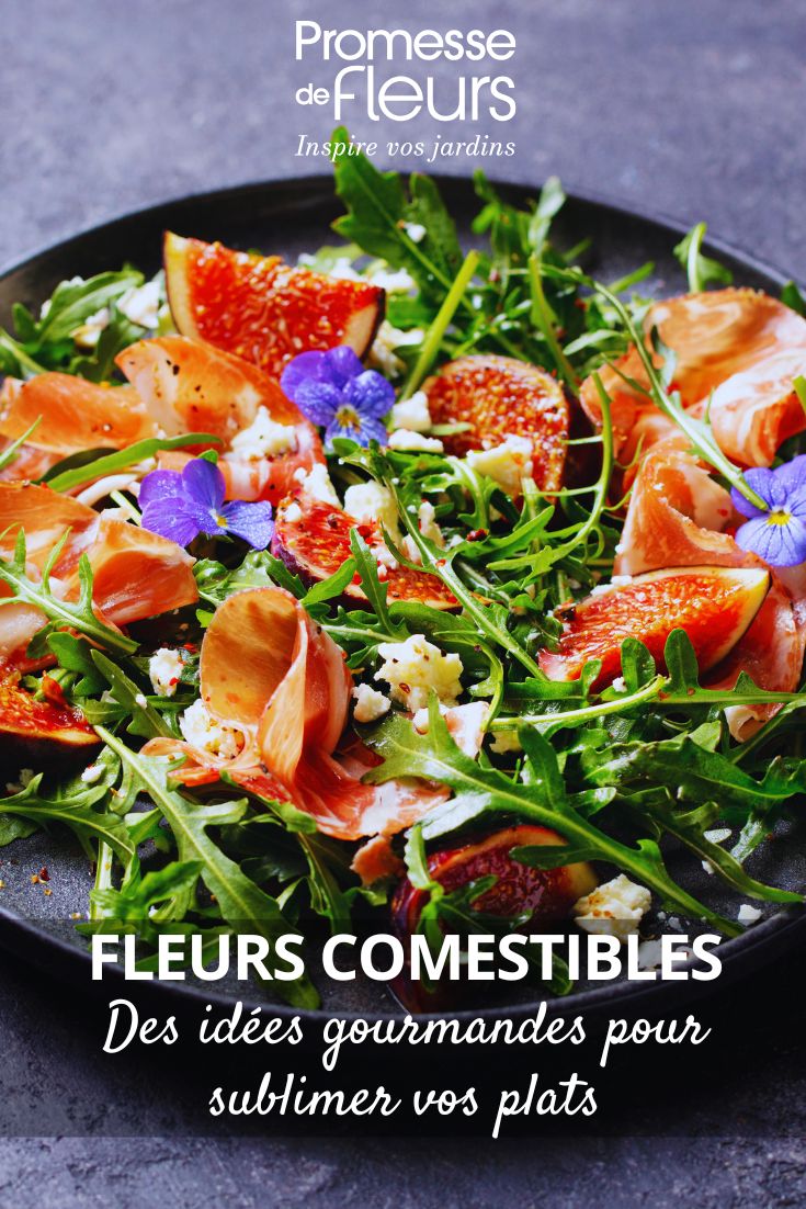 Flores comestíveis: ideias deliciosas para realçar os seus pratos