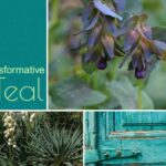 Cor tendência de 2026 «Transformative Teal»: o azul-petróleo transforma o jardim