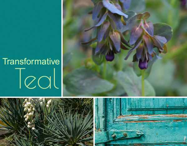 Cor tendência de 2026 «Transformative Teal»: o azul-petróleo transforma o jardim