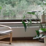 Canícula: que plantas de interior escolher para refrescar a casa?