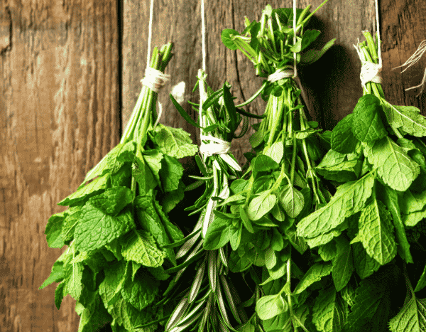 Como fazer ramos de flores de ervas aromáticas caseiros para pendurar?