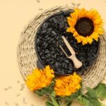 Como colher e conservar as sementes de girassol?