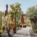 O jardim «chaparral»: entre o jardim californiano e o jardim de mato mediterrânico