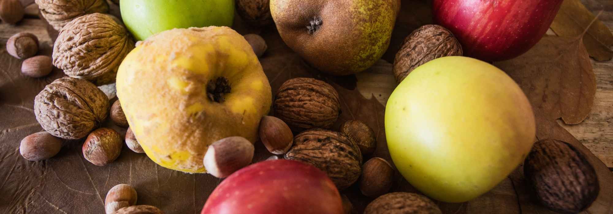 Que fruteiras plantar para colher frutos no outono?